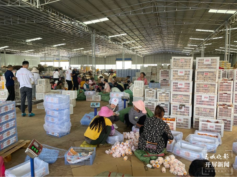 文山这个地方  空气里都是甜甜的“桃子味儿”