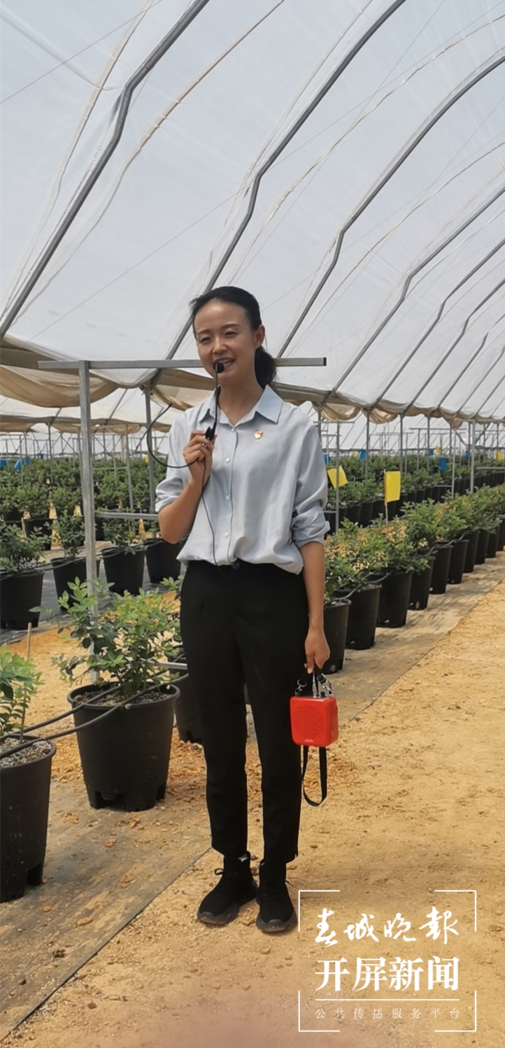 【走进红色文山】砚山县干河乡：沪滇合作产业新