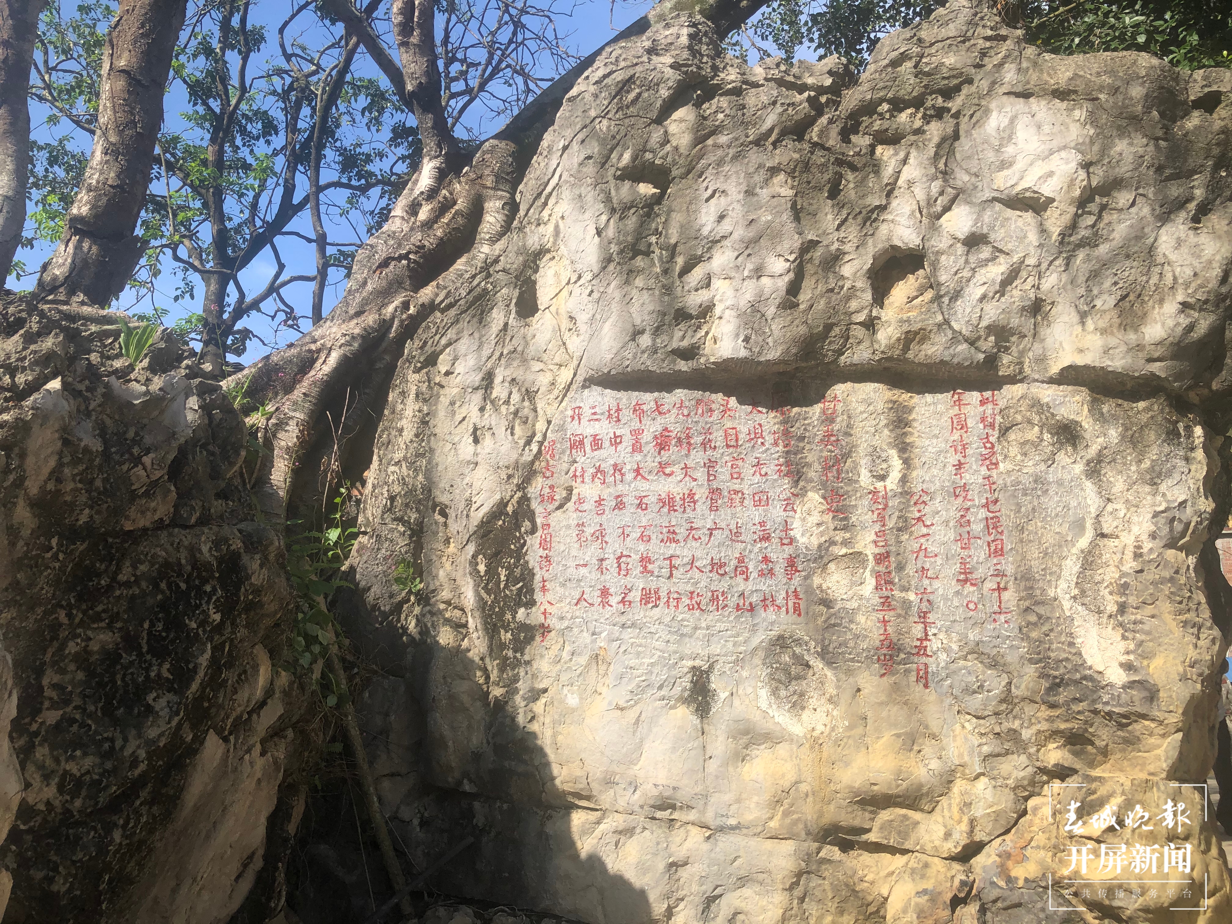 【走进红色文山】富宁武装反抗国民党反动派的第一枪在这打响