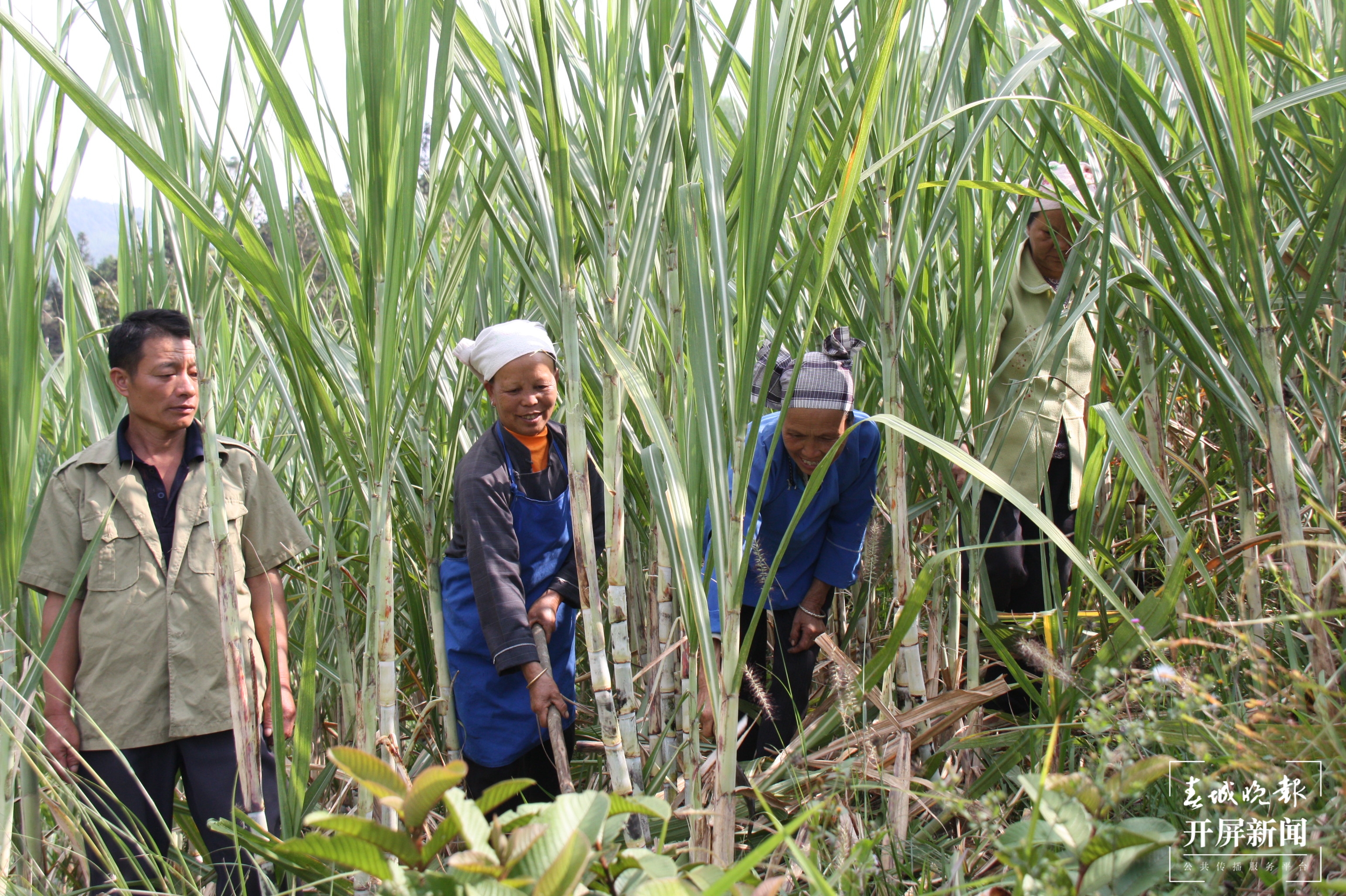 【走进红色文山】山瑶不再山高路遥