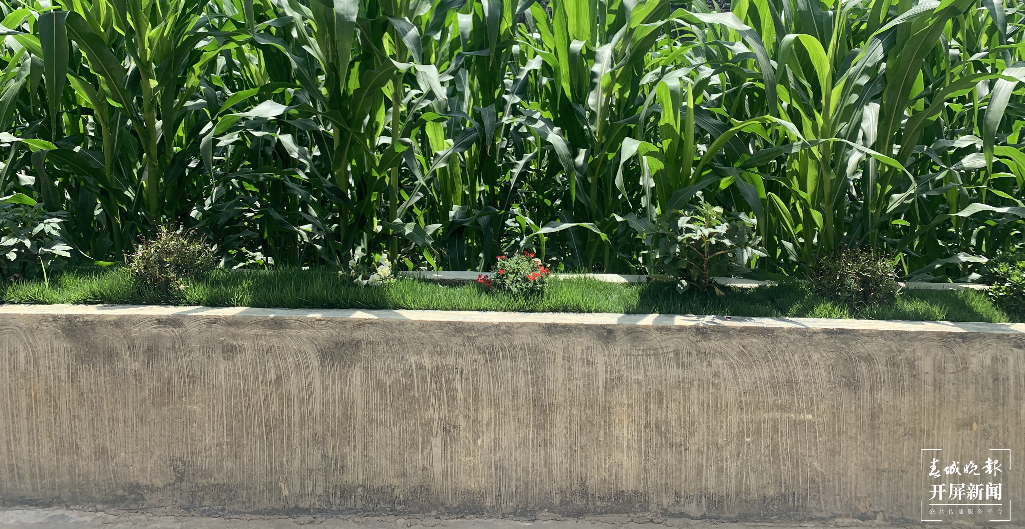 【走进红色文山】山瑶不再山高路遥