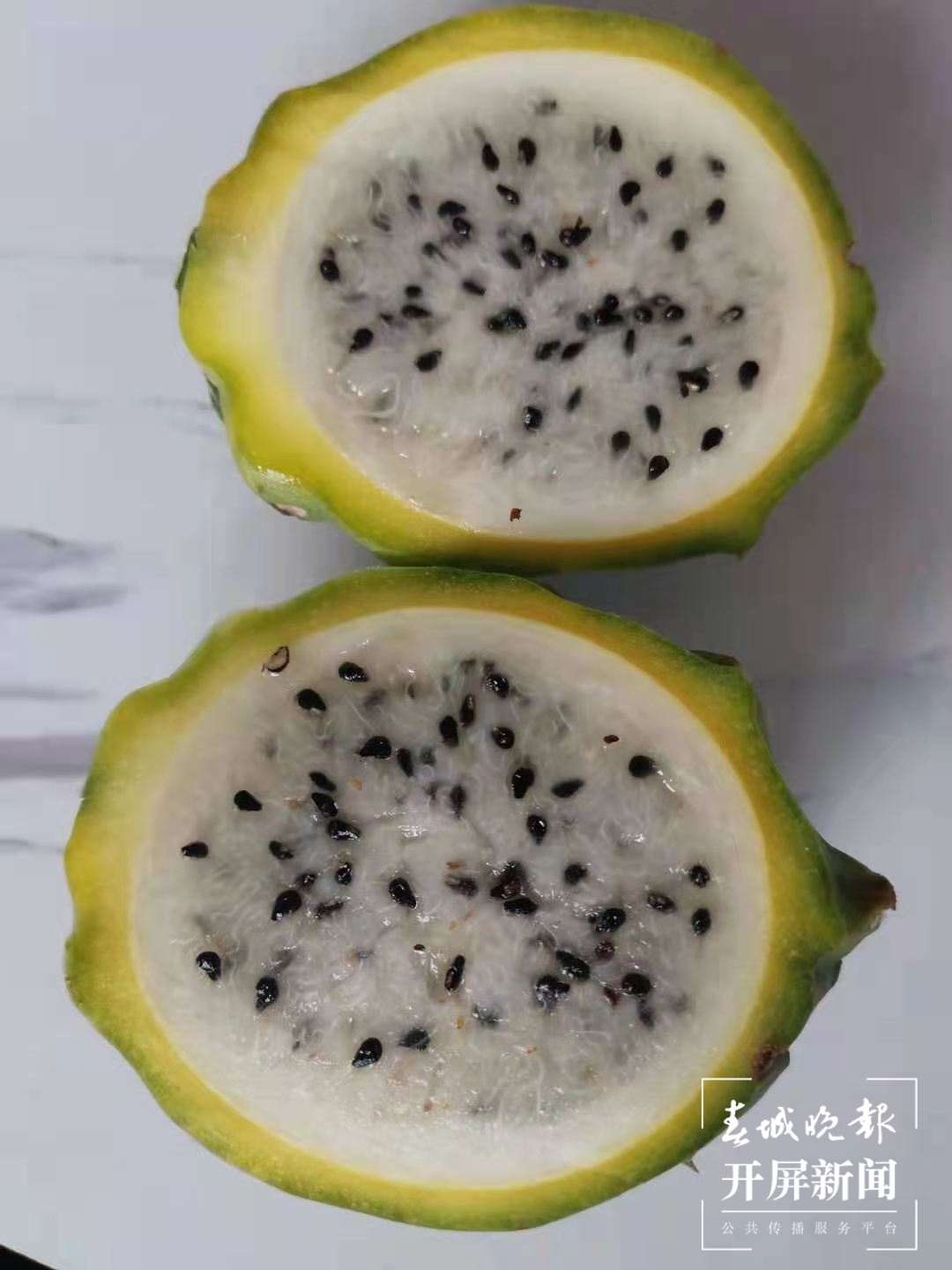 【走进红色文山】火龙果“逆袭” 为什么一颗要卖80元？