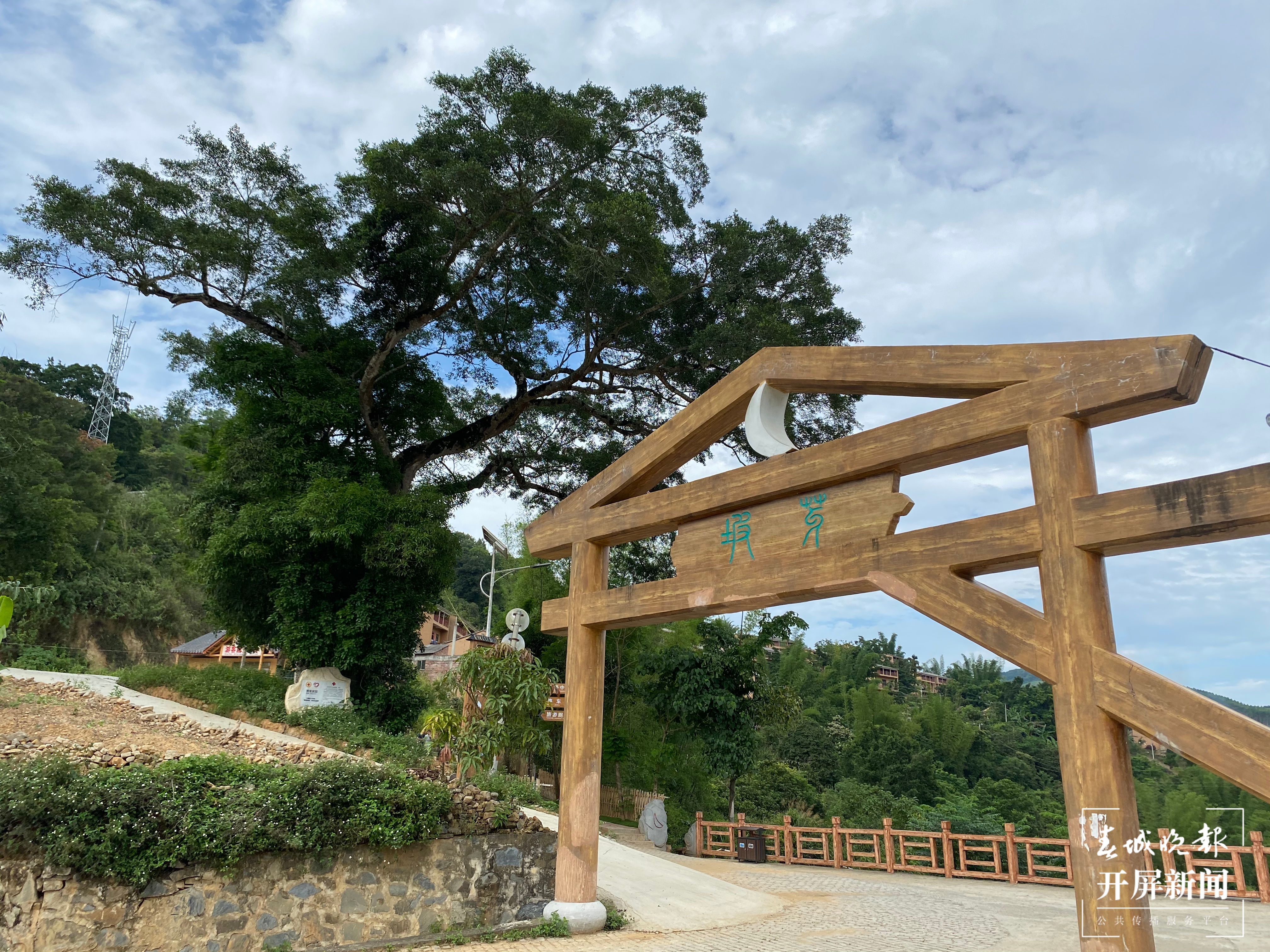 【走进红色文山】夫妻树下的“契约”