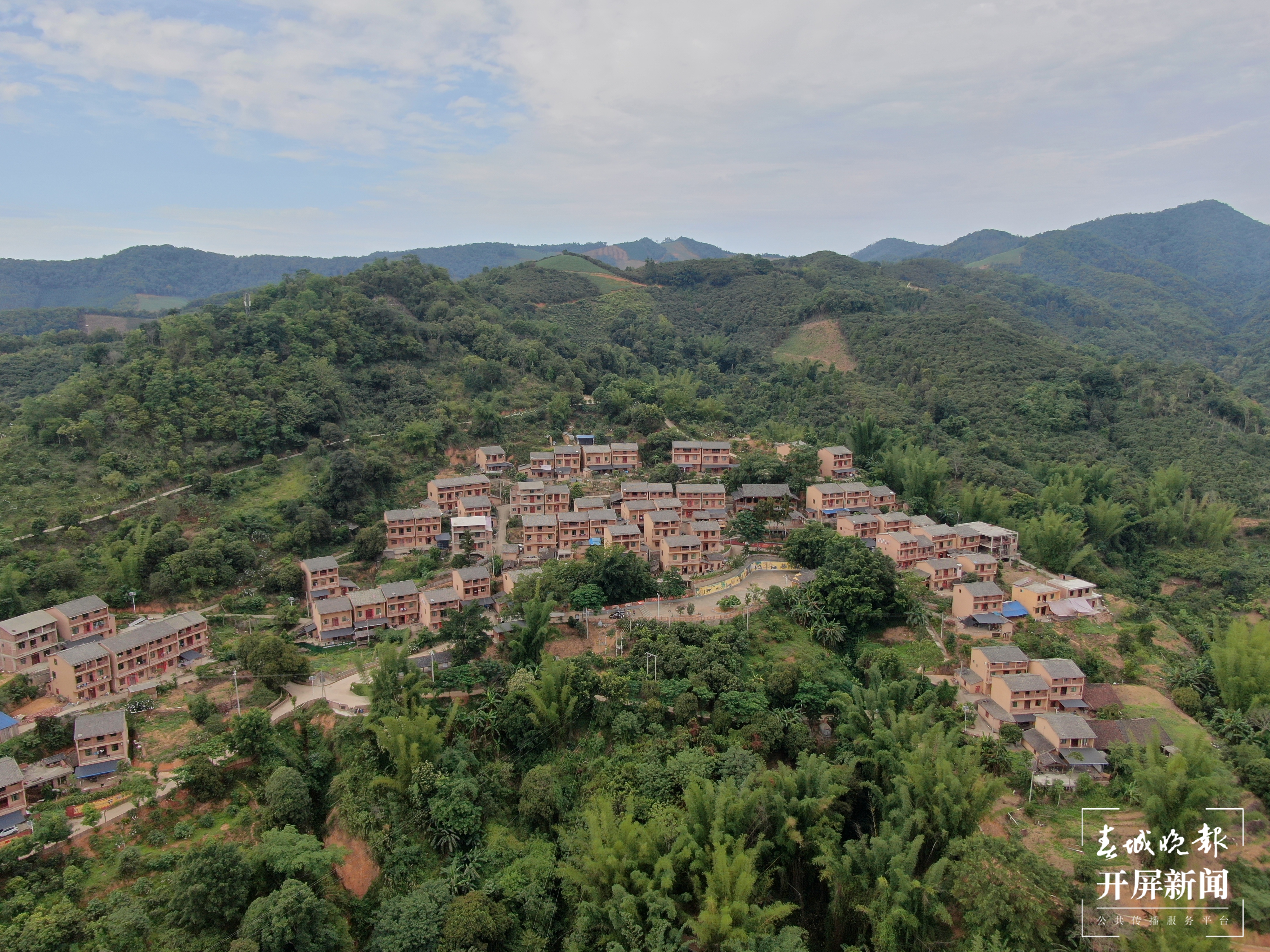 【走进红色文山】夫妻树下的“契约”