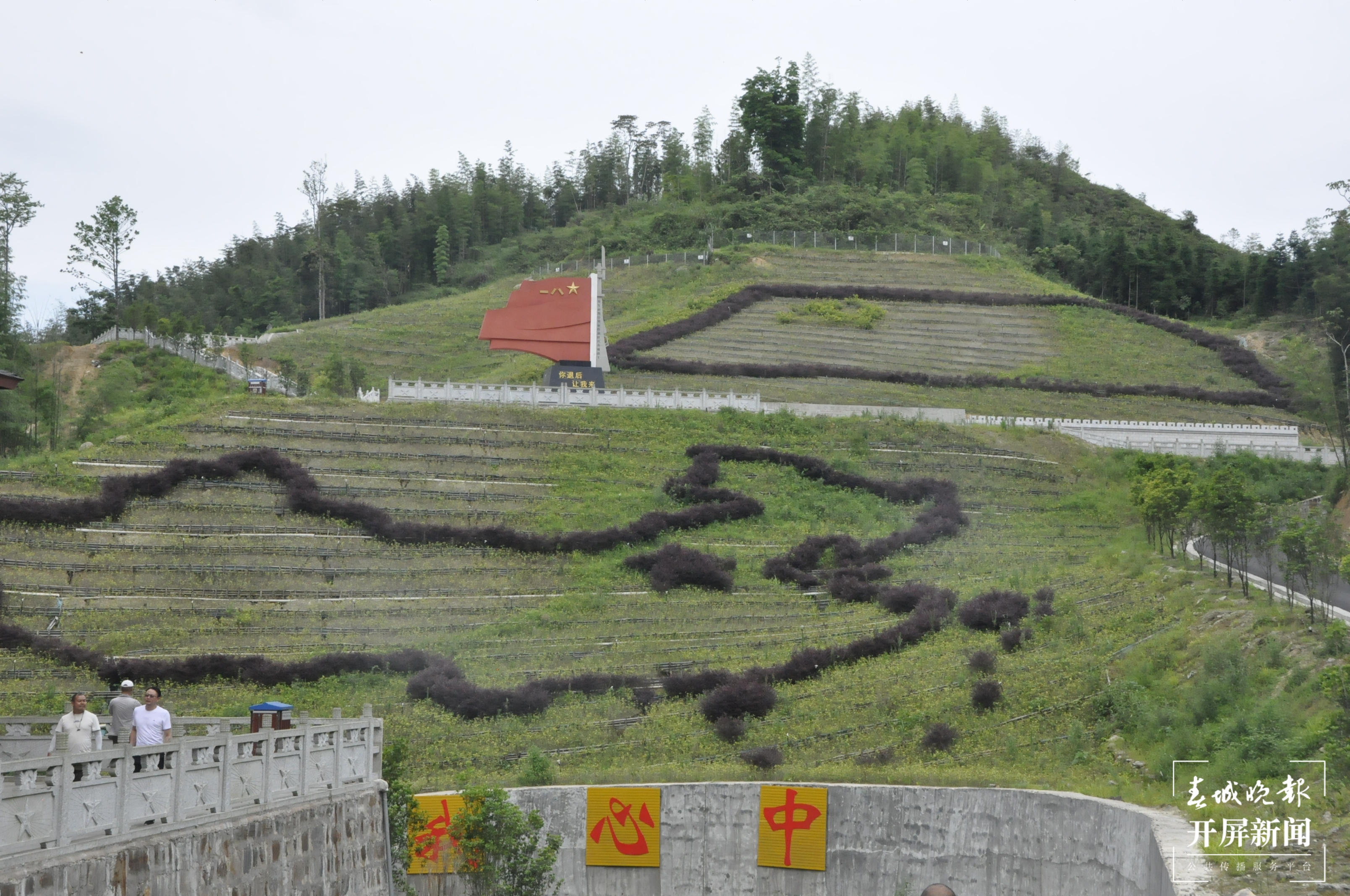 李运忠:“断翅”后重新腾飞的领头雁