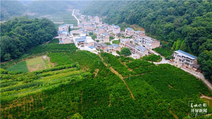 西畴县江龙村航拍 张文峰 摄.jpg