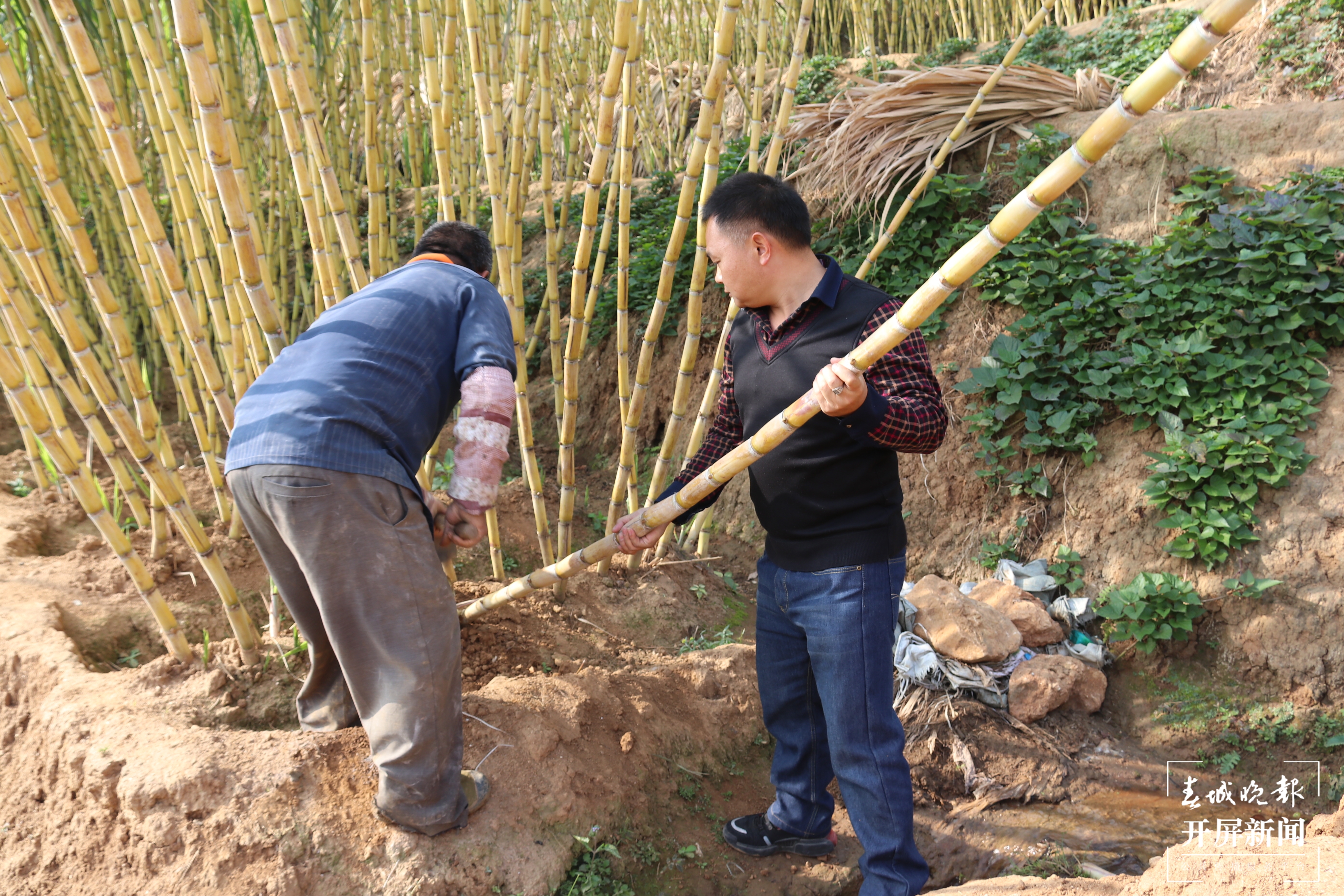 元阳:民族团结进步浇开“幸福花”