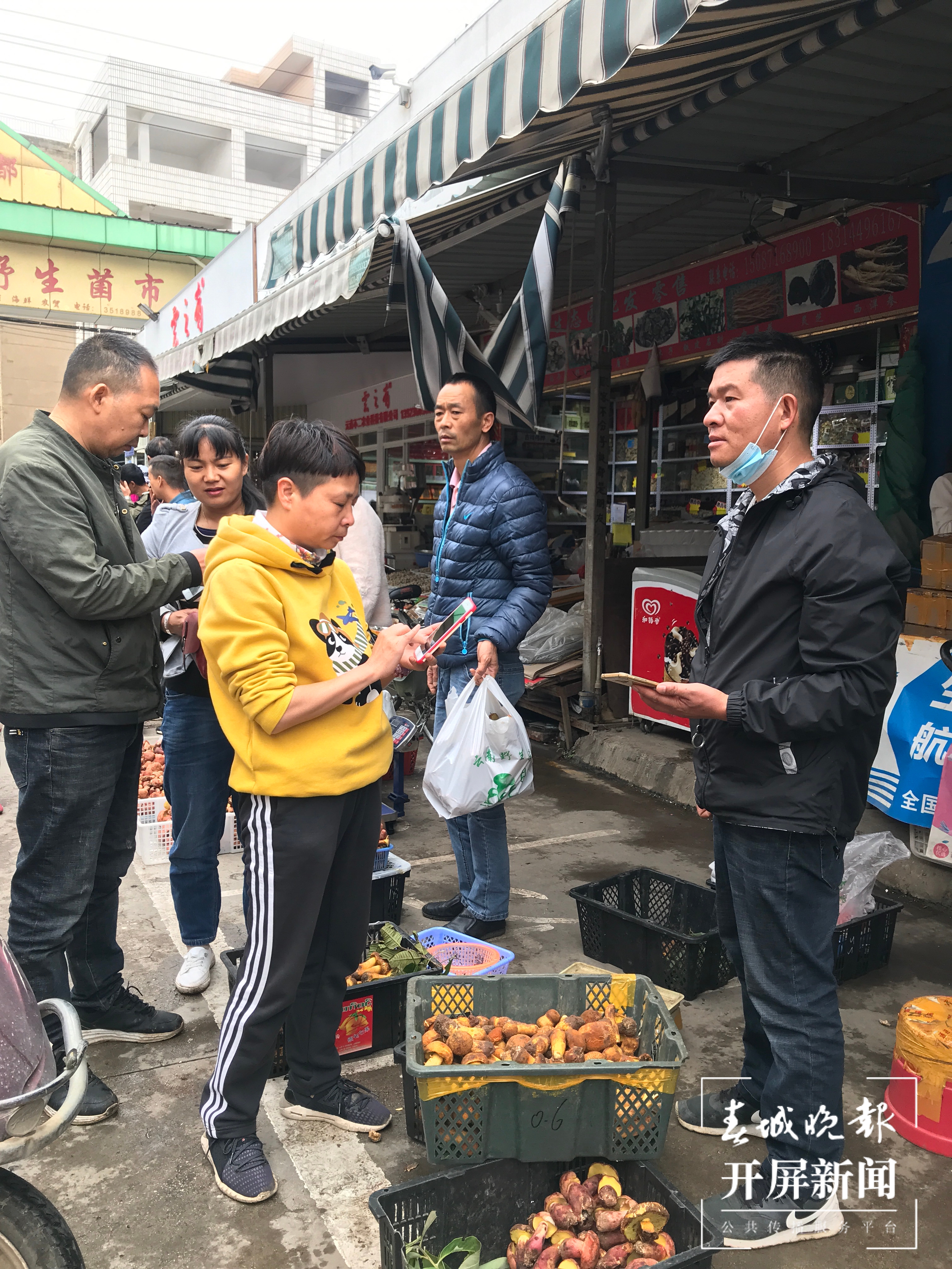 野生菌价格下跌 杨质高 摄