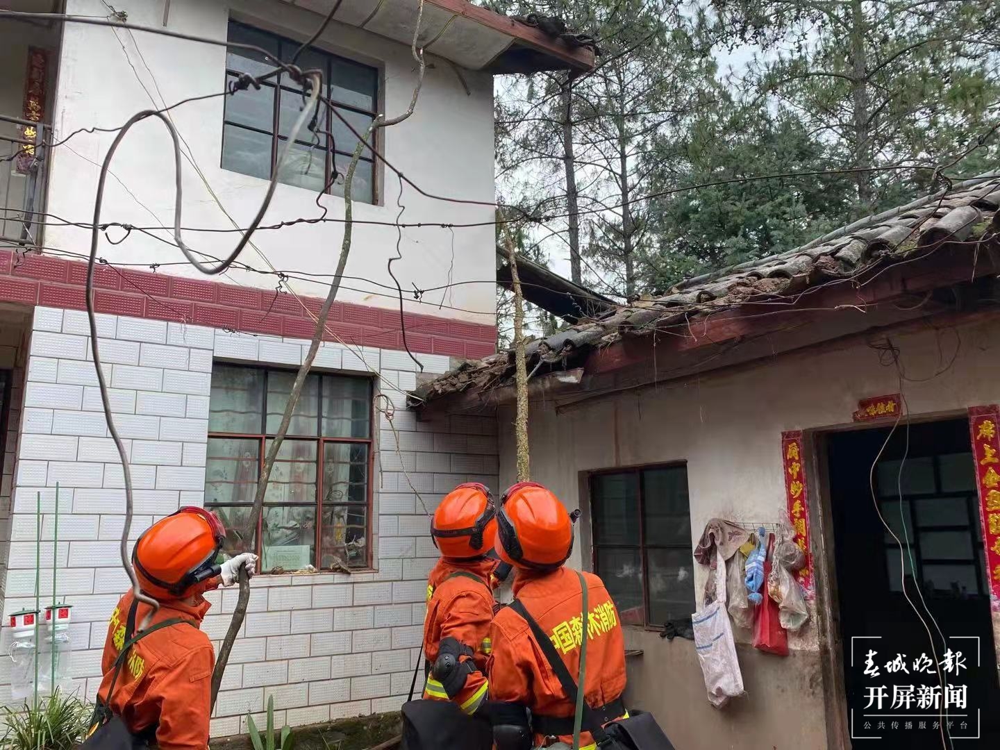 云南省森林消防总队兵分两路开展搜救和隐患排查（春城晚报-开屏新闻 杨质高摄影报道）