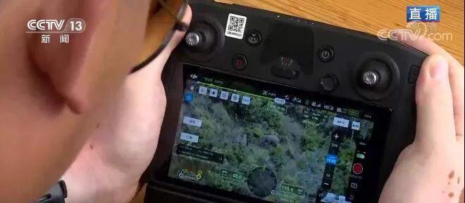 大象（图自央视新闻）