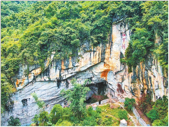 【走进红色文山】富宁：“云南红都”创造“神火速度”