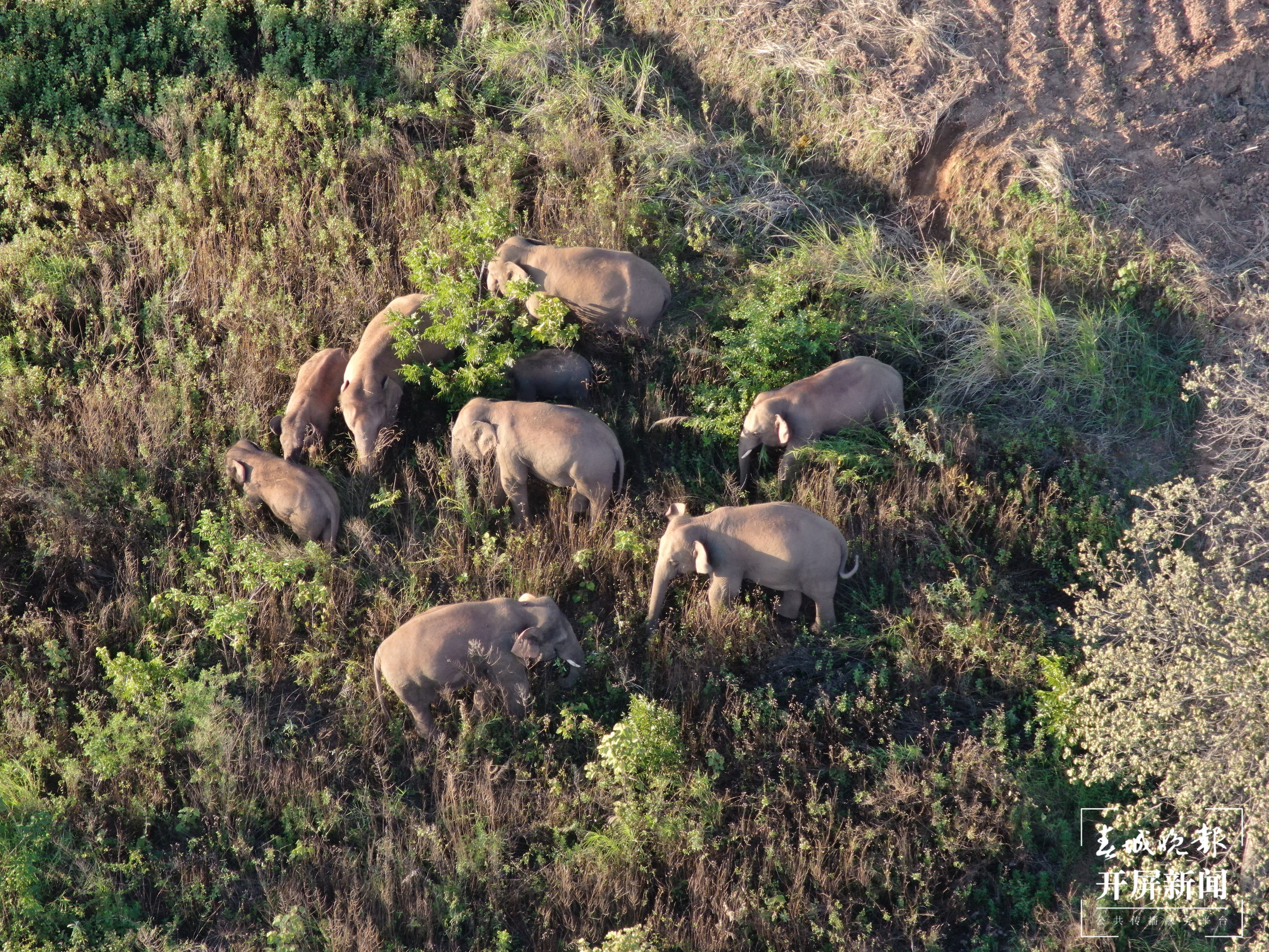 云南省森林消防总队提供 (1)(10584238)-20210621202848.JPG