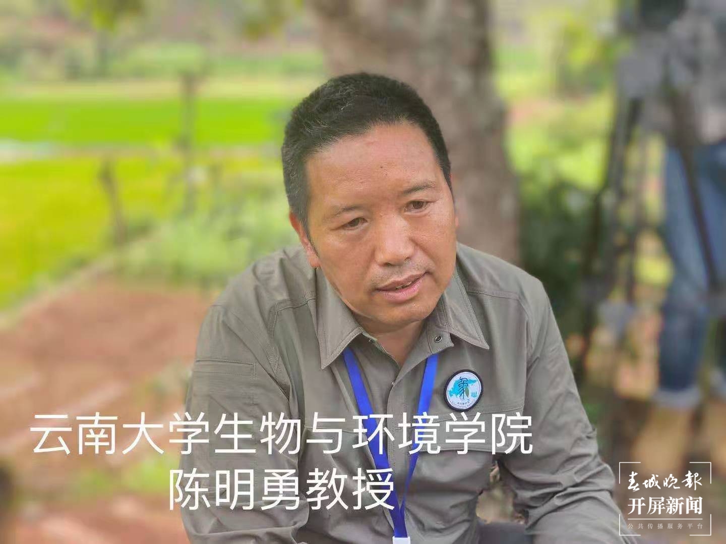 陈明勇教授（春城晚报-开屏新闻记者摄影报道）