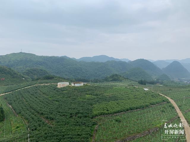 【走进红色文山】西畴：石漠化地区变身生态家园