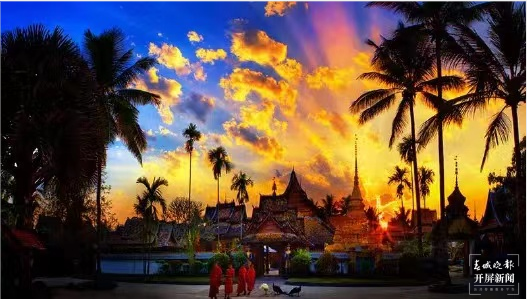 第一站：西双版纳，与亚洲象不期而遇