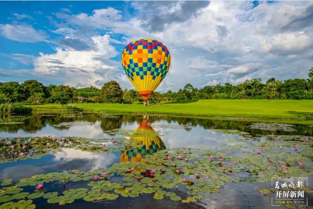 第一站：西双版纳，与亚洲象不期而遇