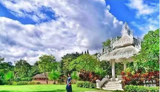 第一站：西双版纳，与亚洲象不期而遇