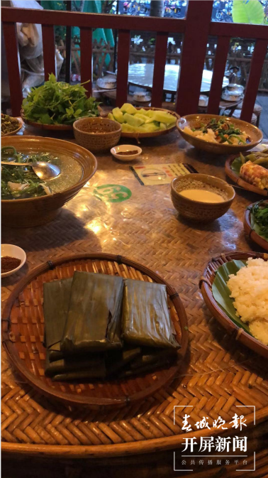 第一站：西双版纳，与亚洲象不期而遇