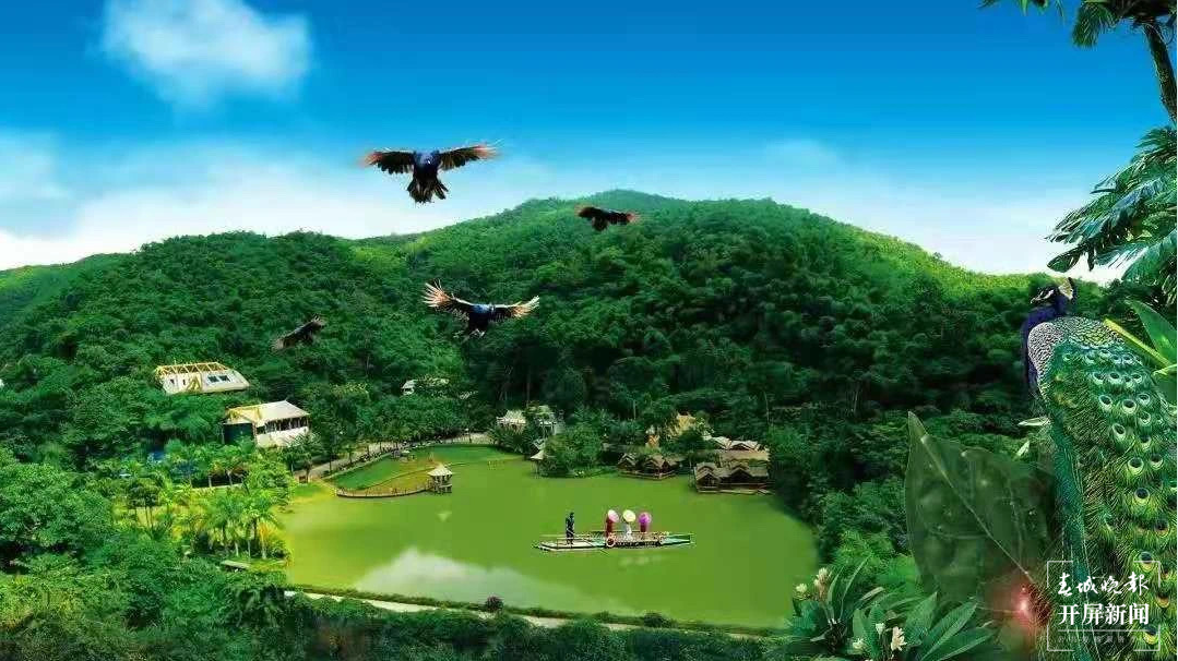 第一站：西双版纳，与亚洲象不期而遇