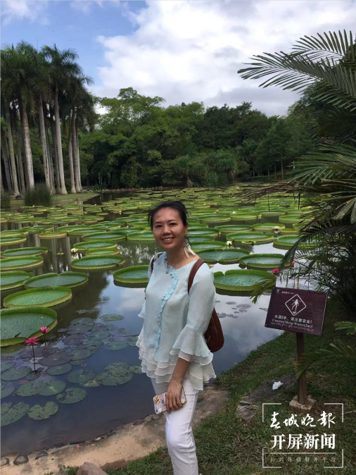 第一站：西双版纳，与亚洲象不期而遇