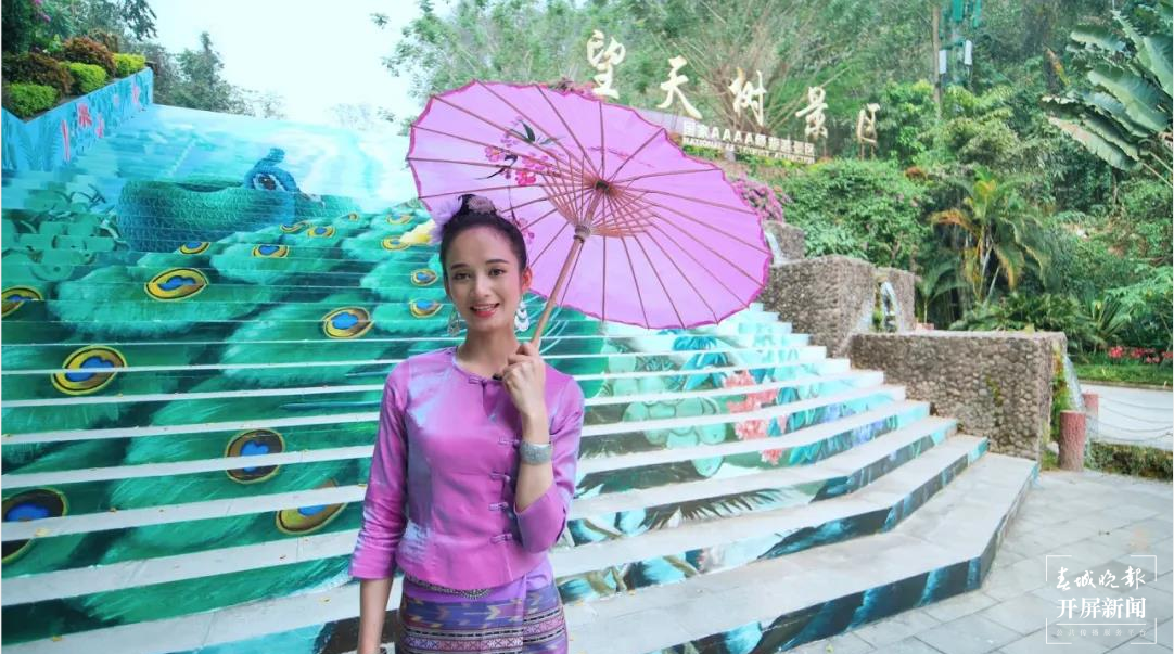 第一站：西双版纳，与亚洲象不期而遇