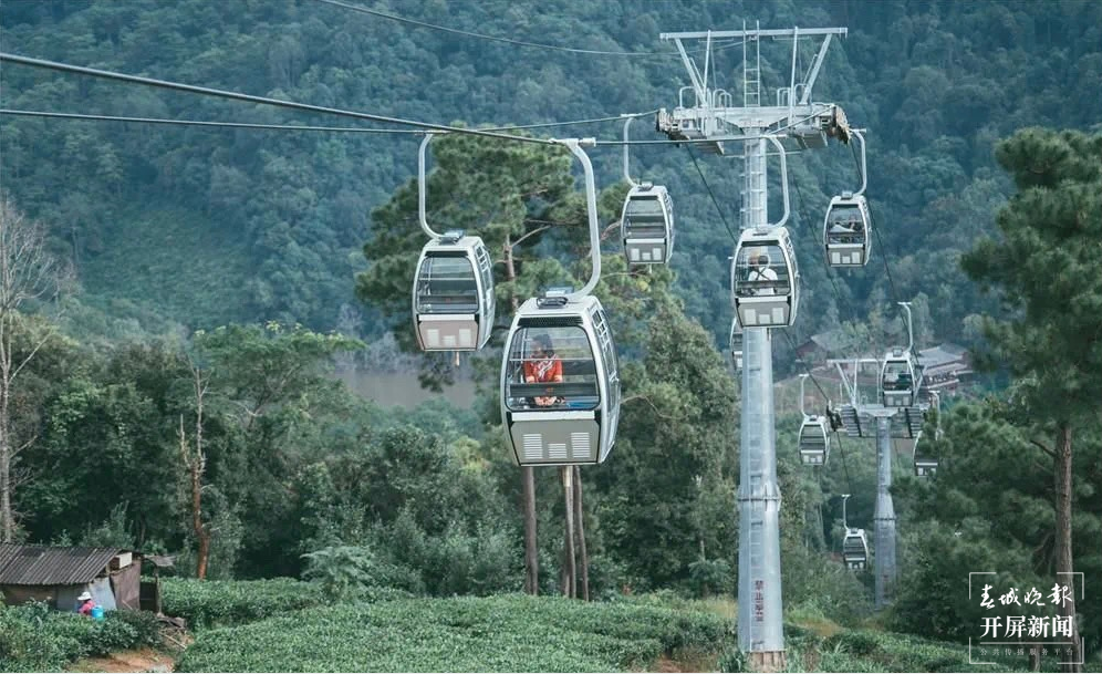 跟着大象游云南｜第二站：普洱，人象和谐的地方