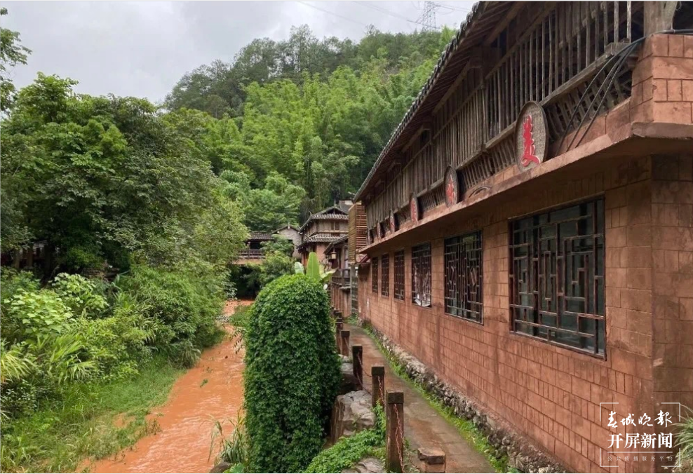 跟着大象游云南｜第二站：普洱，人象和谐的地方