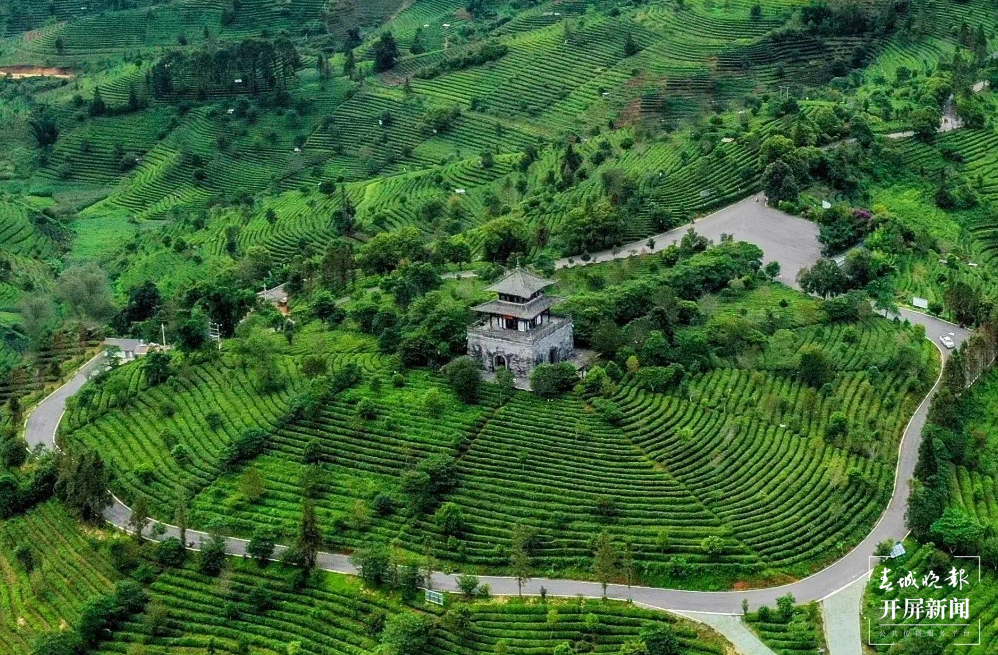 跟着大象游云南｜第二站：普洱，人象和谐的地方