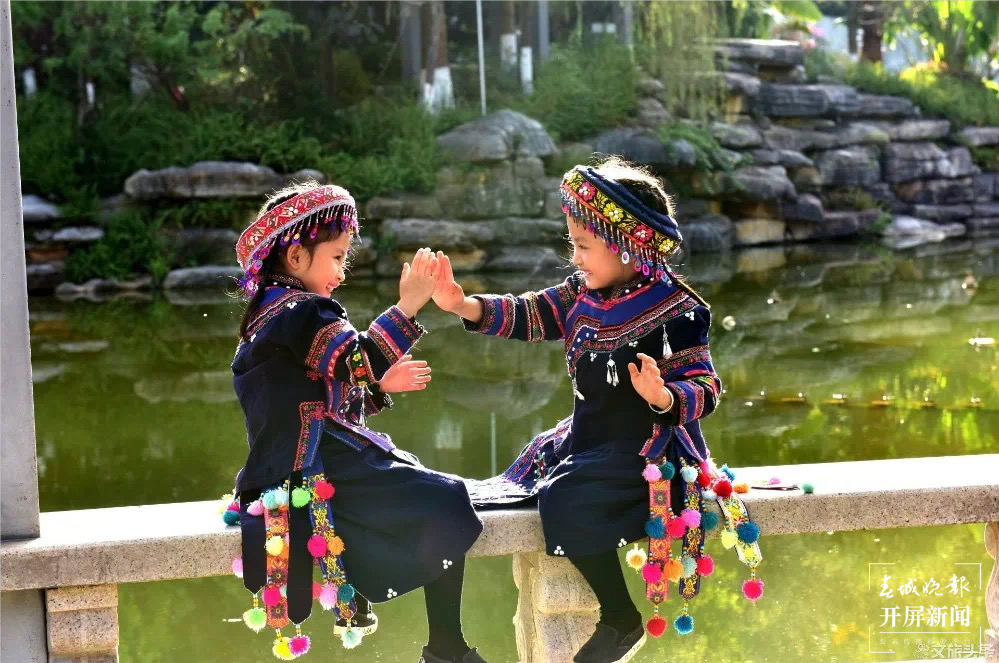 跟着大象游云南｜第二站：普洱，人象和谐的地方