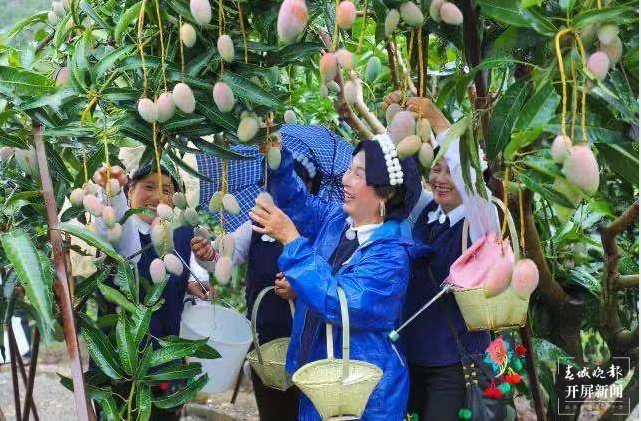 跟着大象游云南|第三站:元江,山水“象”依的地方