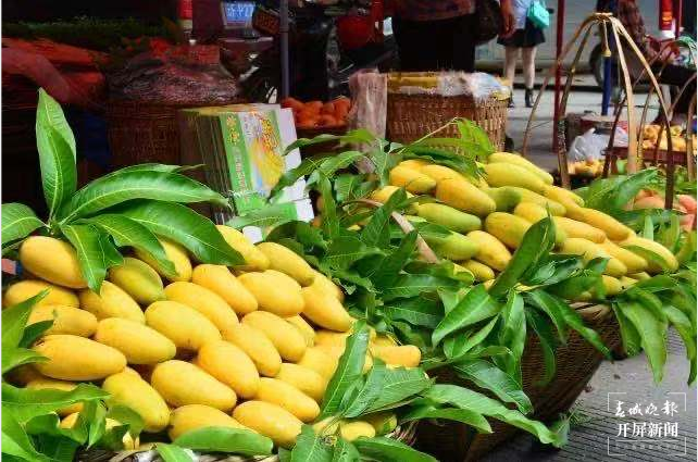 跟着大象游云南|第三站:元江,山水“象”依的地方