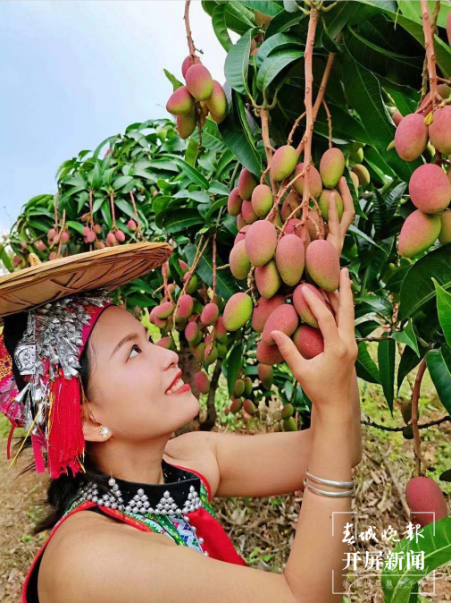 跟着大象游云南|第三站:元江,山水“象”依的地方