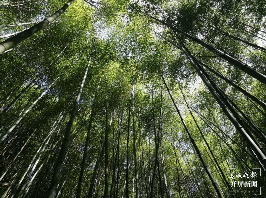 跟着大象游云南｜第四站：峨山，开启沉浸式体验 