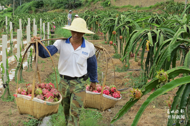 跟着大象游云南|第五站:石屏,万“象”更新的地方