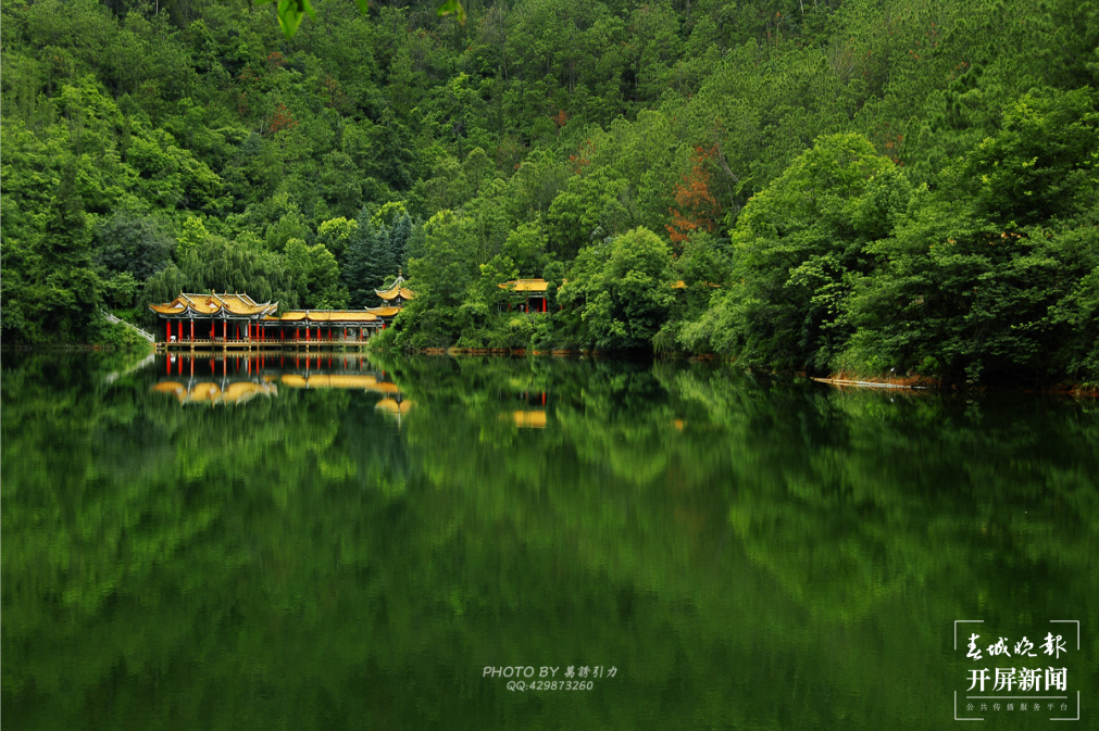 跟着大象游云南｜第六站：易门，象群们的“小西双版纳”？