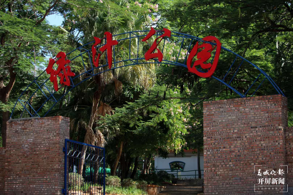 跟着大象游云南｜第六站：易门，象群们的“小西双版纳”？