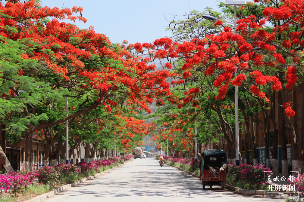 跟着大象游云南｜第六站：易门，象群们的“小西双版纳”？