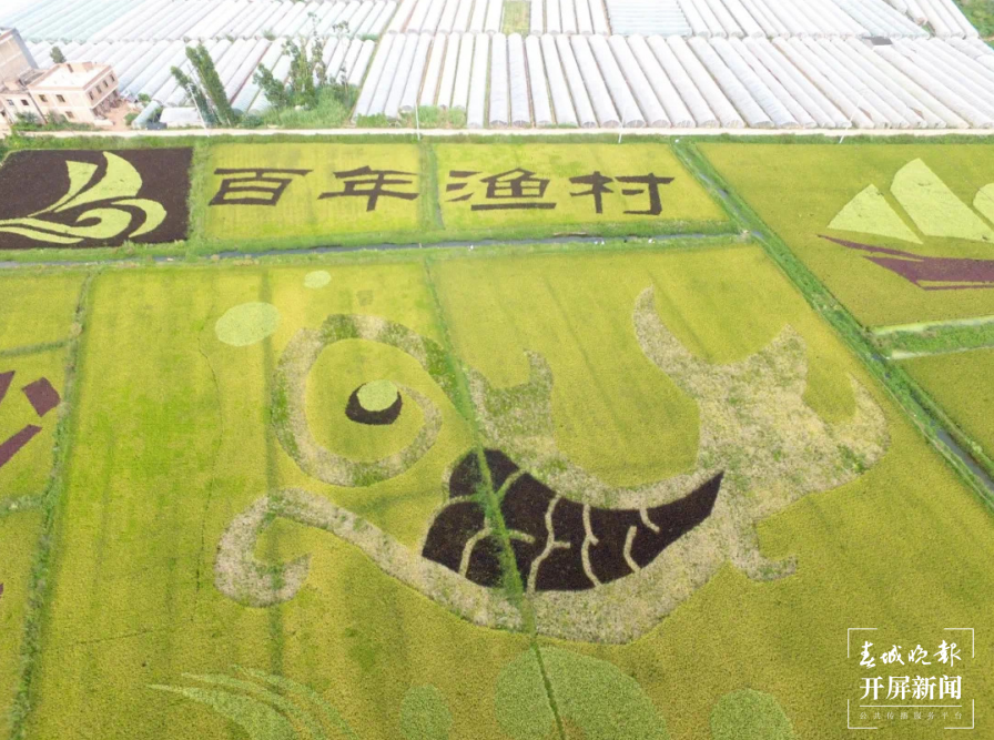  跟着大象游云南｜第六站：晋宁，世界因它们而不同