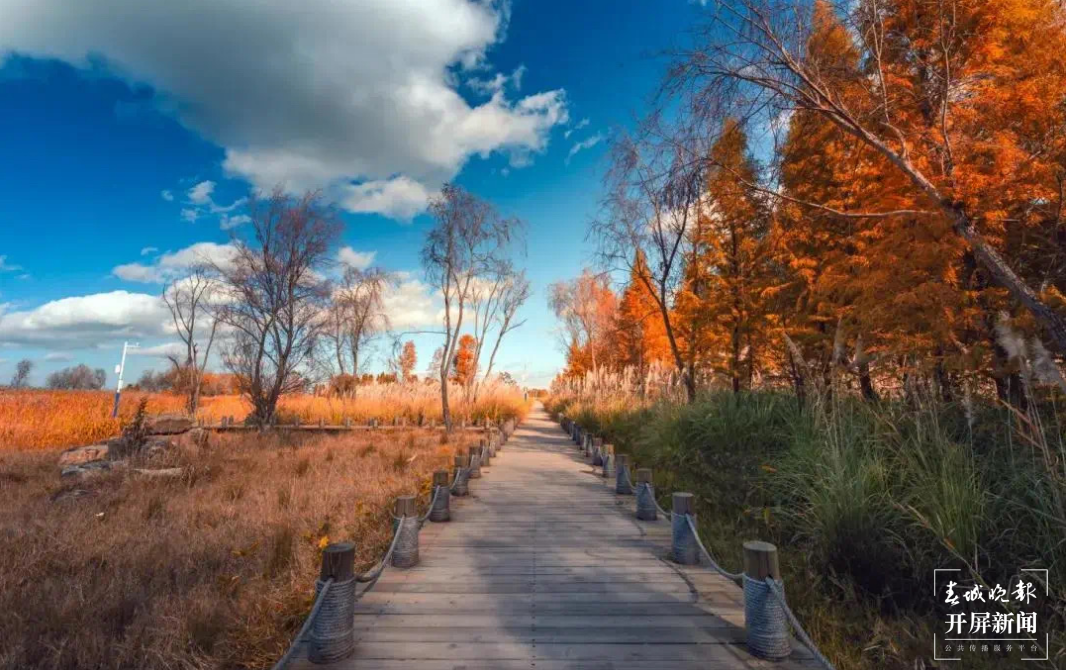  跟着大象游云南｜第六站：晋宁，世界因它们而不同