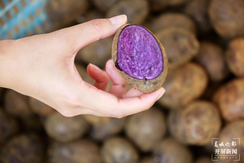  跟着大象游云南｜第六站：晋宁，世界因它们而不同