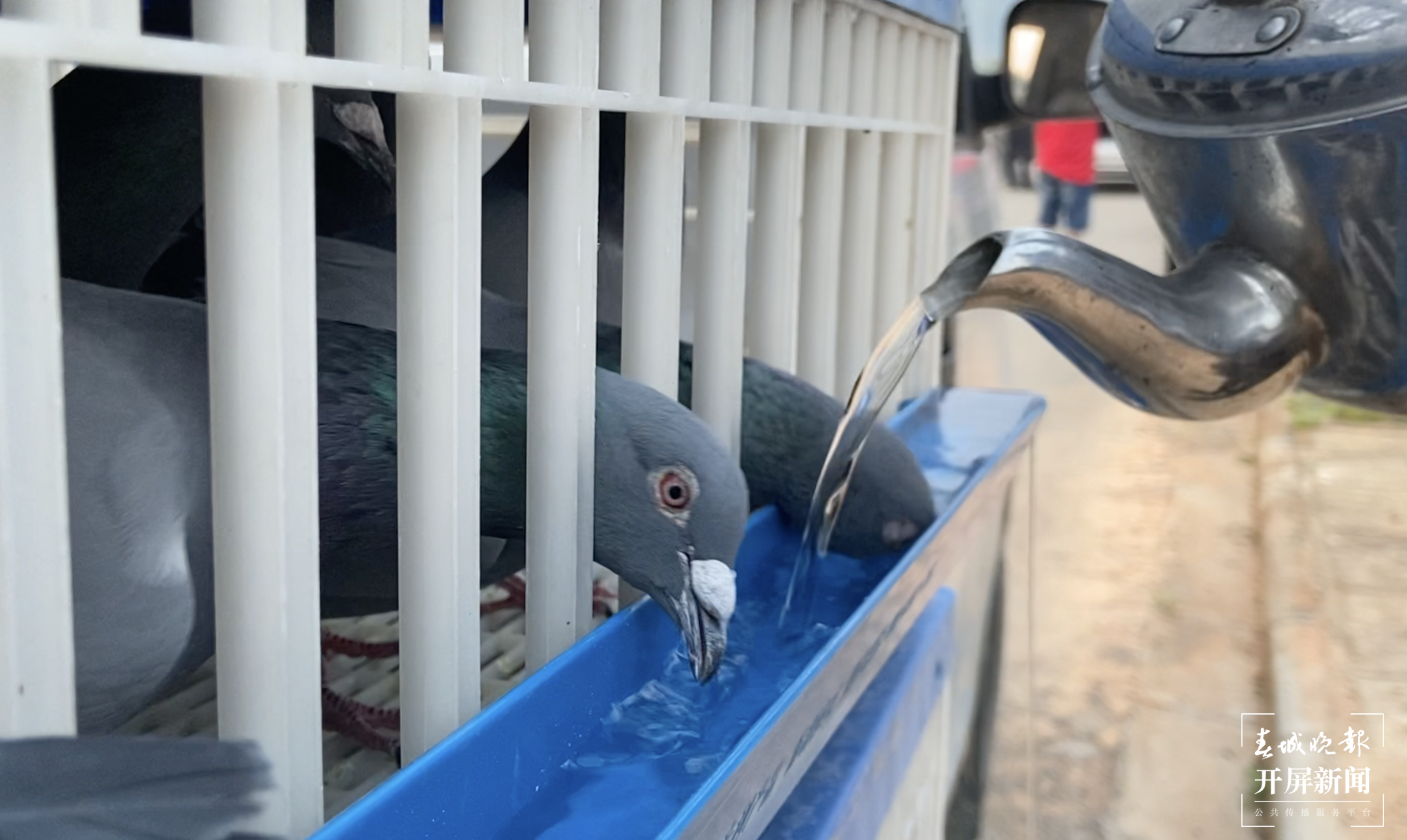 截屏2021-04-26 下午12.52.15.png