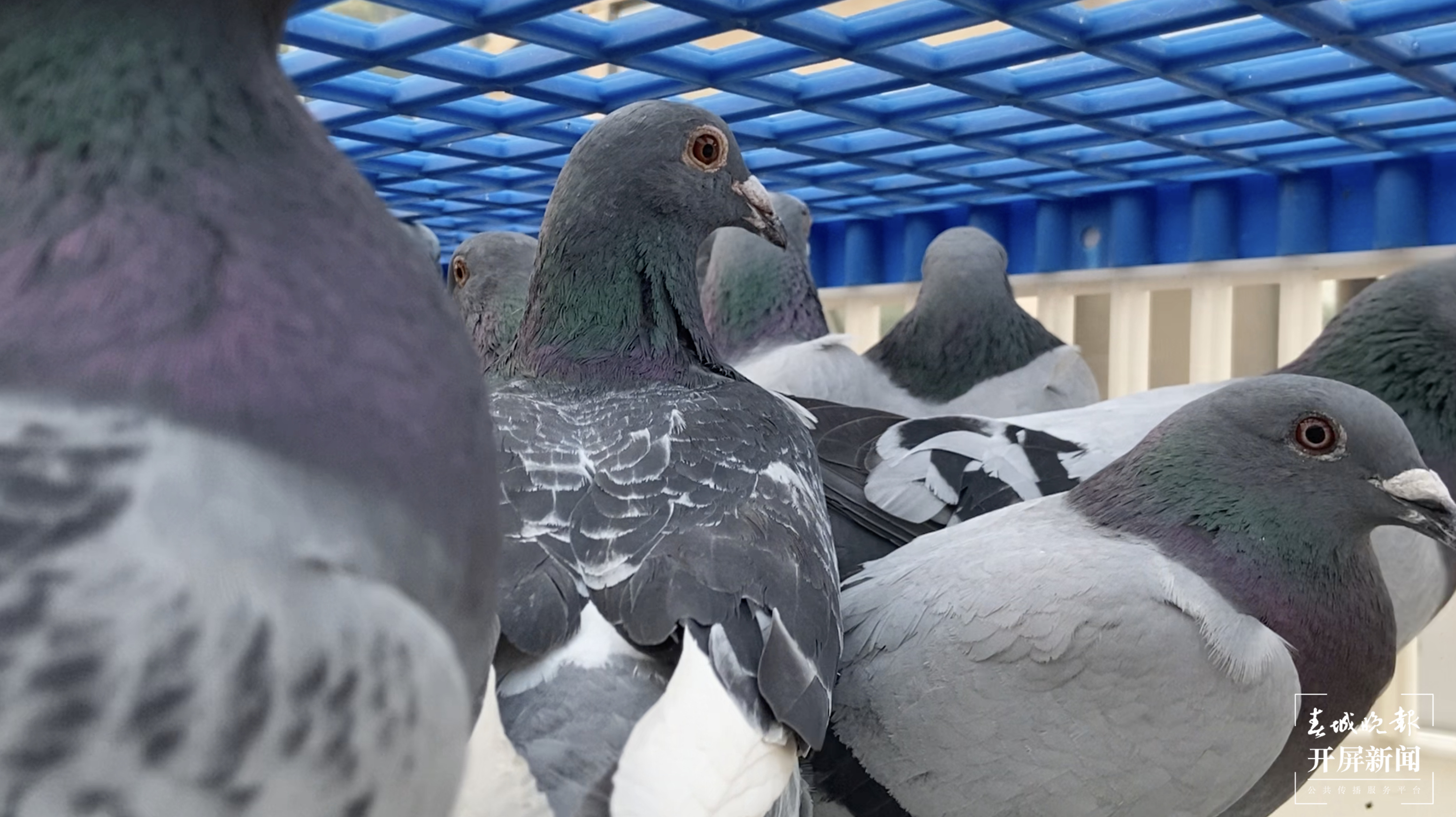 截屏2021-04-26 上午11.31.24.png