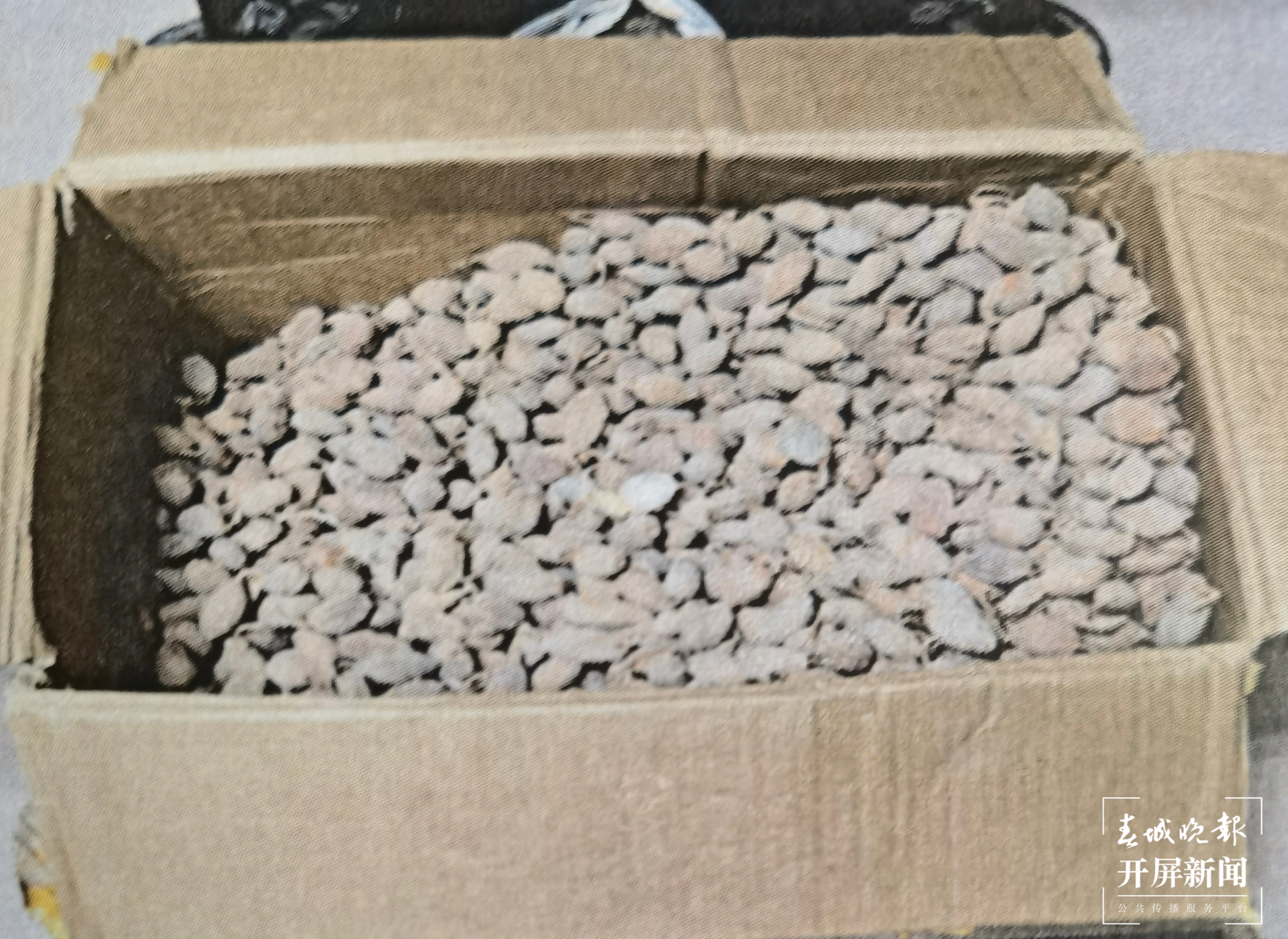 昆明铁路运输中院集中宣判5件毒品案 （柏立诚 通讯员 王玮莹 摄影报道）