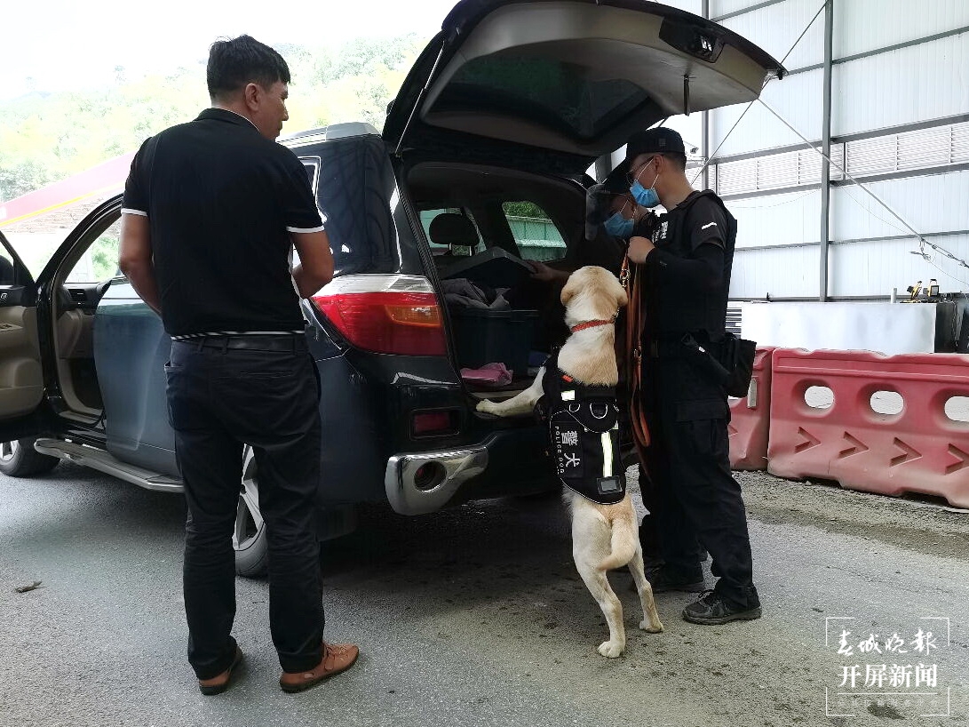 普洱边境管理支队来了10名缉毒“新兵”（罗宗伟 通讯员 刘亚鑫 黄晨光 摄影报道）