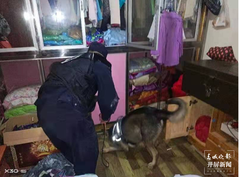 昆明犬警汪“黑豹”职场首秀就立功 (2).png