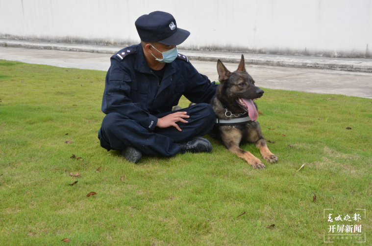 昆明犬警汪“黑豹”职场首秀就立功 (4).png