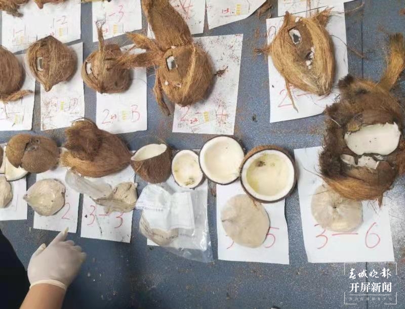 盘点十大奇葩的藏毒方式 (1).jpg