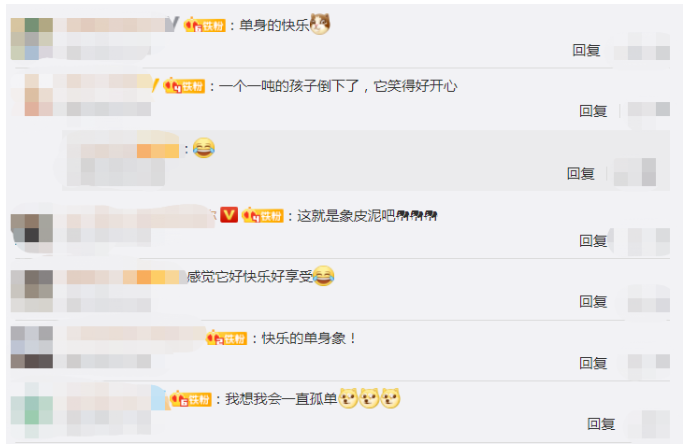 这就是“象”皮泥吧？云南离群小象享受“泥沙浴” ，画面太萌了！