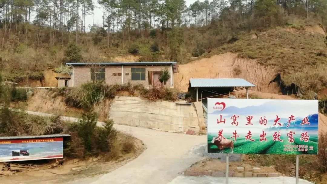 攻克最后的贫困堡垒！云南这9个贫困县怎么做？