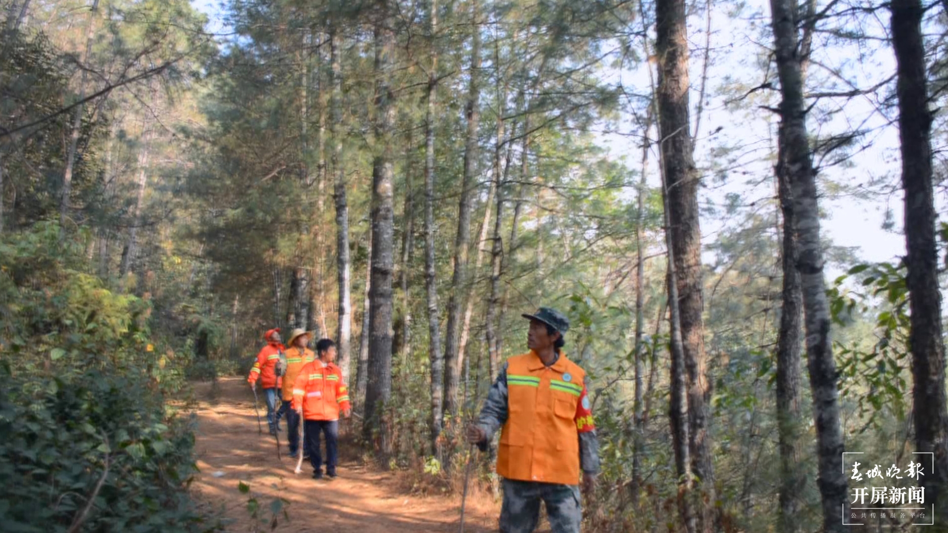 保山施甸：60名护林员成为金山银山守护者